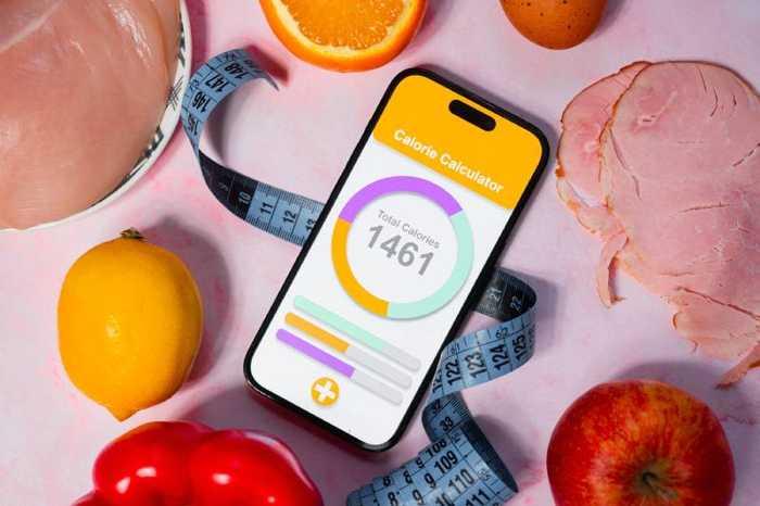 Compteur de calories : lequel choisir et pourquoi l’utiliser