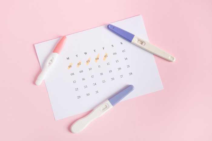 Calcul fertilité : connaître la période la plus fertile de la femme