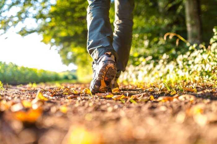 10 km marche à pied : combien de calories cela brûle-t-il ?